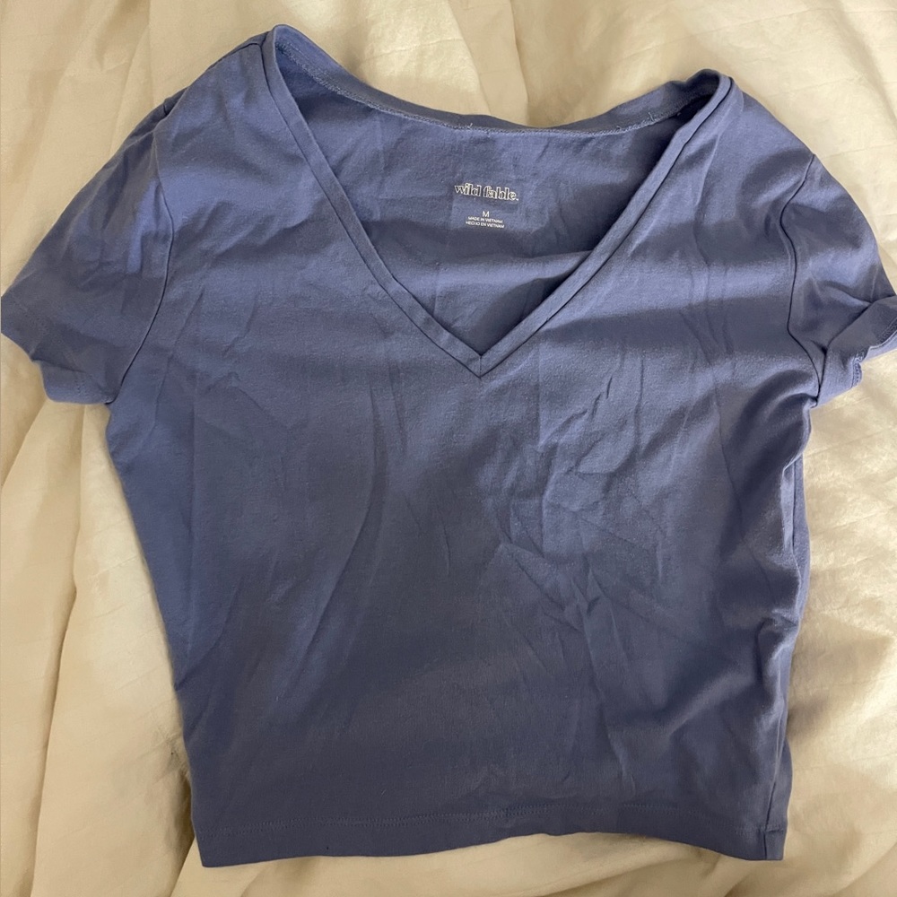 Wildfable cropped v-neck top